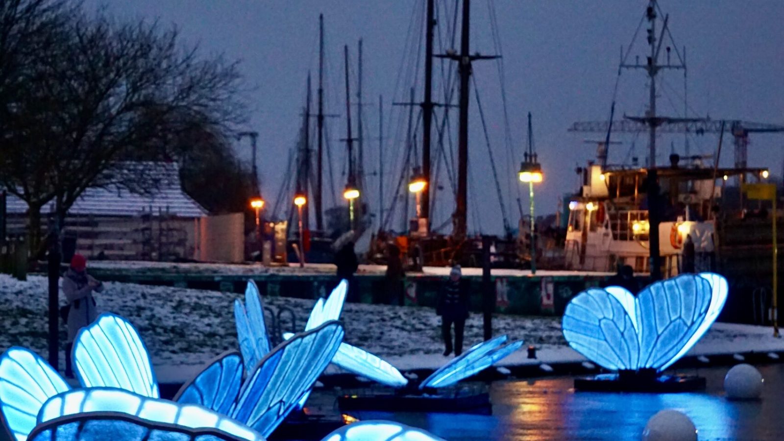 Butterfly_Effect_6@Koch