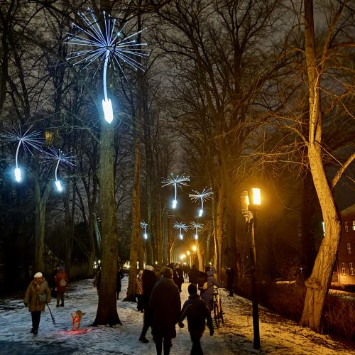 Light_a_Wish3_(c)Gudrun Koch