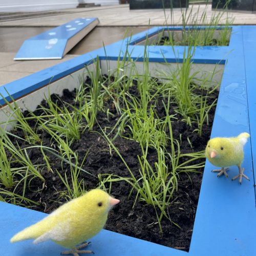 Roman&Tik Rohrkolben 1_(c)André Gschweng