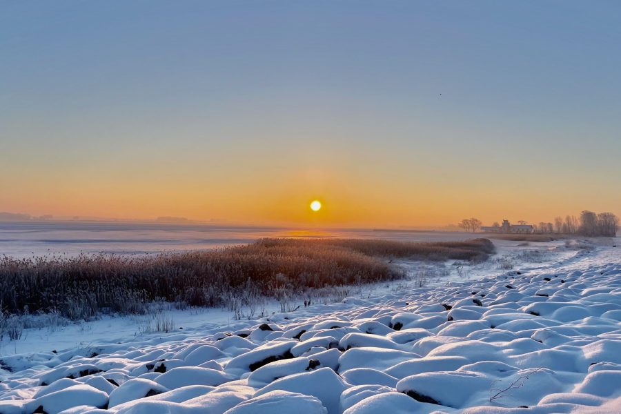 Winter_Wieck@Gudrun_Koch